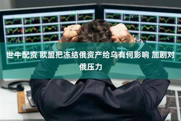 世牛配资 欧盟把冻结俄资产给乌有何影响 加剧对俄压力
