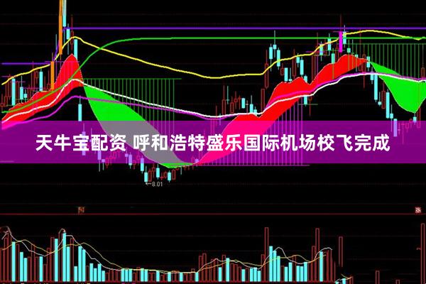 天牛宝配资 呼和浩特盛乐国际机场校飞完成