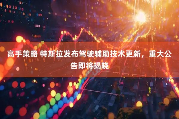 高手策略 特斯拉发布驾驶辅助技术更新，重大公告即将揭晓