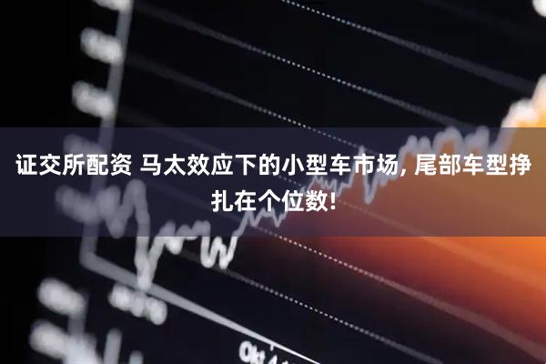 证交所配资 马太效应下的小型车市场, 尾部车型挣扎在个位数!